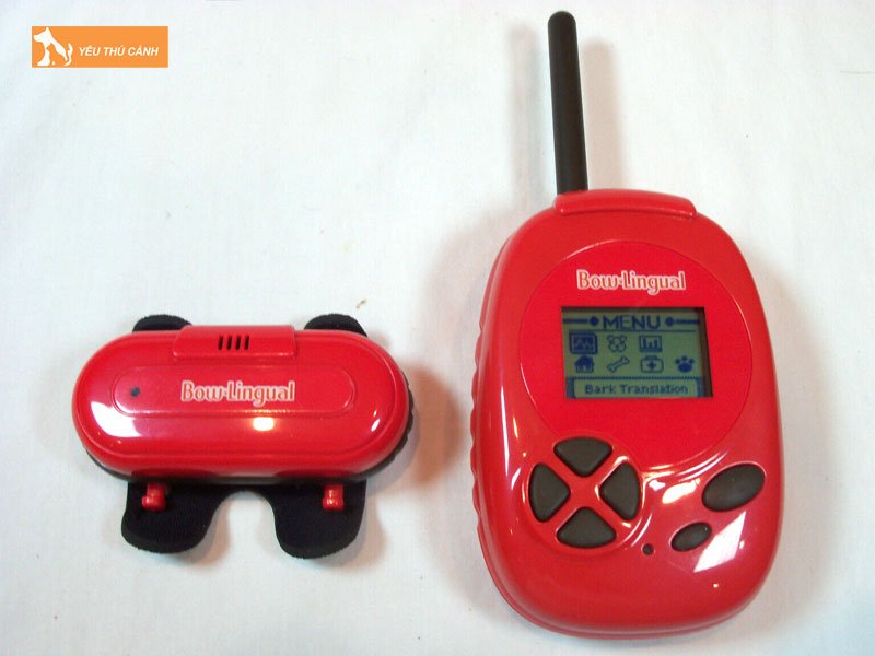 bow-lingual-may-phien-dich-tieng-cho-thucanh