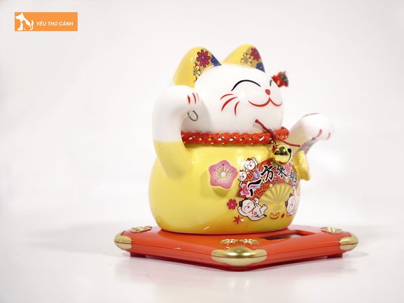 cac-luu-y-khi-chon-mua-va-su-dung-meo-than-tai-ma-gia-chu-nen-biet-thucanh