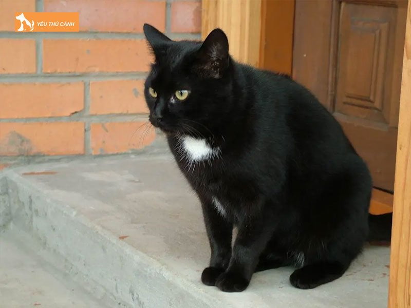 cach-ngam-ruou-cao-tieu-ho-thucanh