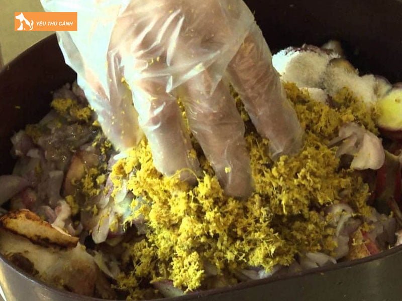 gia-tri-dinh-duong-cua-thit-meo-thucanh