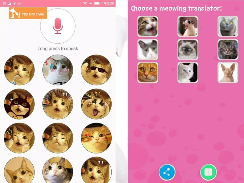 human-to-cat-translator-thucanh