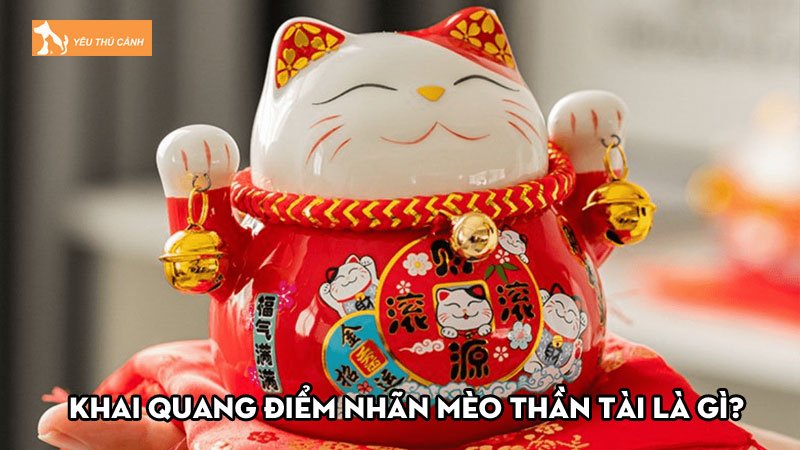 Khai quang điểm nhãn mèo thần tài là gì? Vài lưu ý nên biết