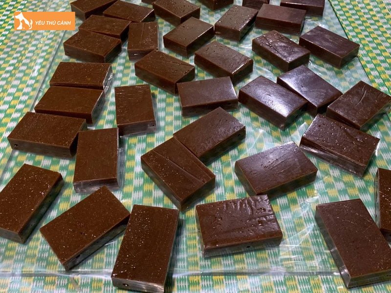 tai-sao-cao-meo-hoang-ngam-ruou-lai-tot-hon-cao-meo-nuoi-thucanh