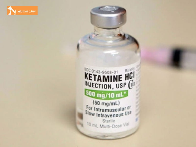 Thuoc-me-dung-dich-ketaset-iii-thucanh