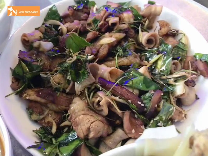 vi-sao-cac-me-bau-khong-duoc-an-thit-meo-thucanh