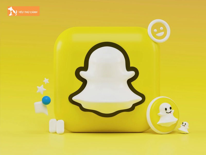 app-snapchat-ghep-sticker-cho-meo-vao-mat-thucanh