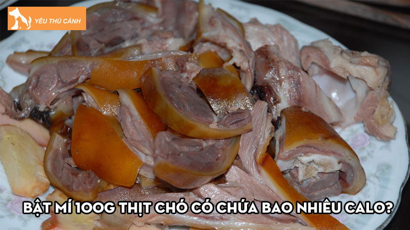 Bật mí 100g thịt chó có chứa bao nhiêu calo? Ăn thịt chó có béo không?