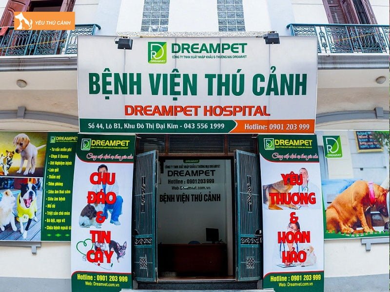 benh-vien-thu-canh-dreampet-thucanh
