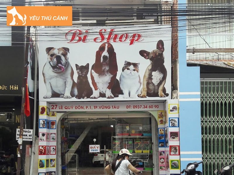 bi-shop-cua-hang-thu-cung-o-vung-tau-chat-luong-thucanh