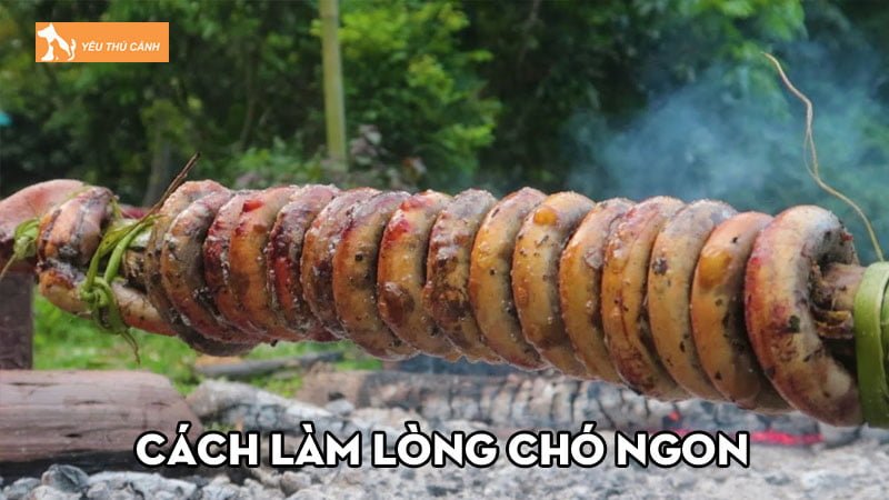 Bỏ túi ngay cách làm lòng chó ngon tại nhà vạn người mê