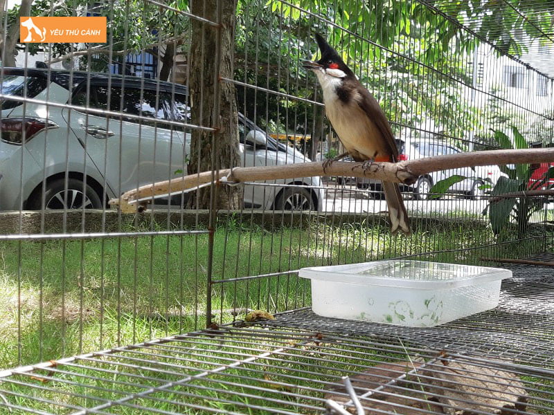 cach-bo-tri-cau-thuc-an-nuoc-uong-trong-long-tap-luc-thucanh