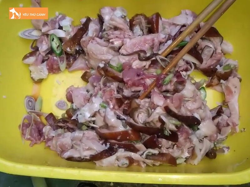 cach-che-bien-mon-thit-meo-xao-rau-ma-thucanh