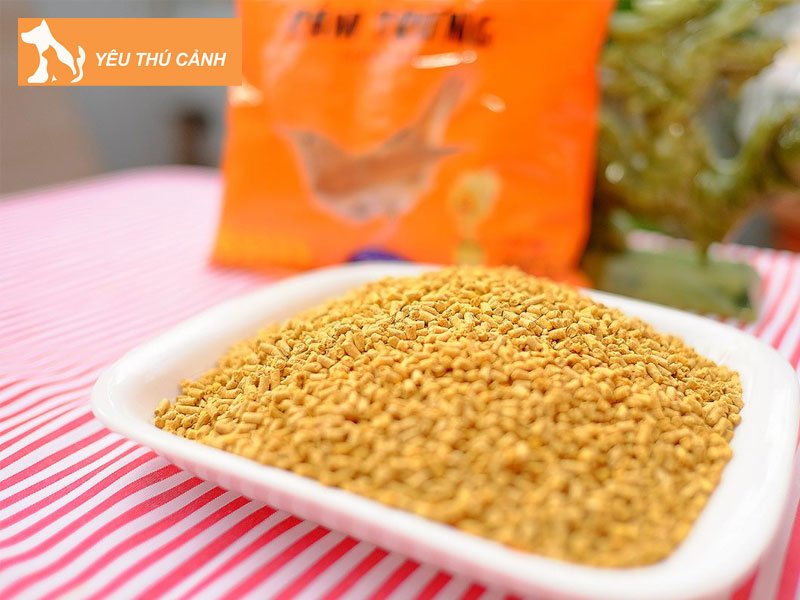 cach-chon-cam-chao-mao-tot-nhat-hien-nay-thucanh