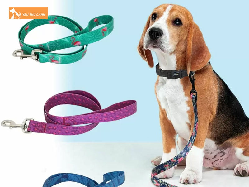 cach-lam-day-yem-dat-cho-don-gian-tiet-kiem-thucanh