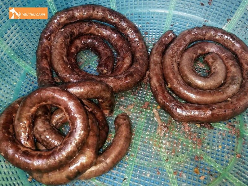 cach-lam-long-cho-1-thucanh