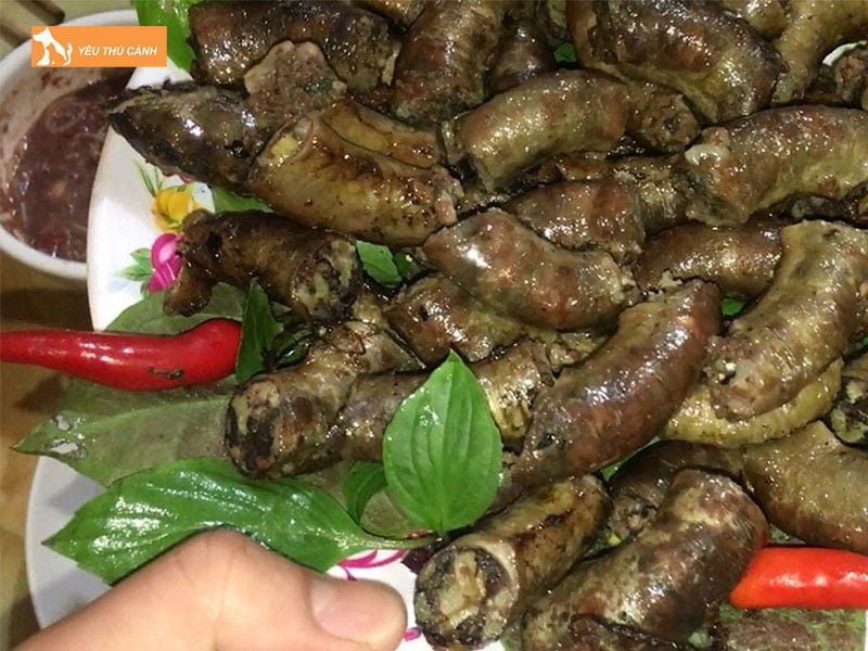 cach-lam-long-cho-2-thucanh