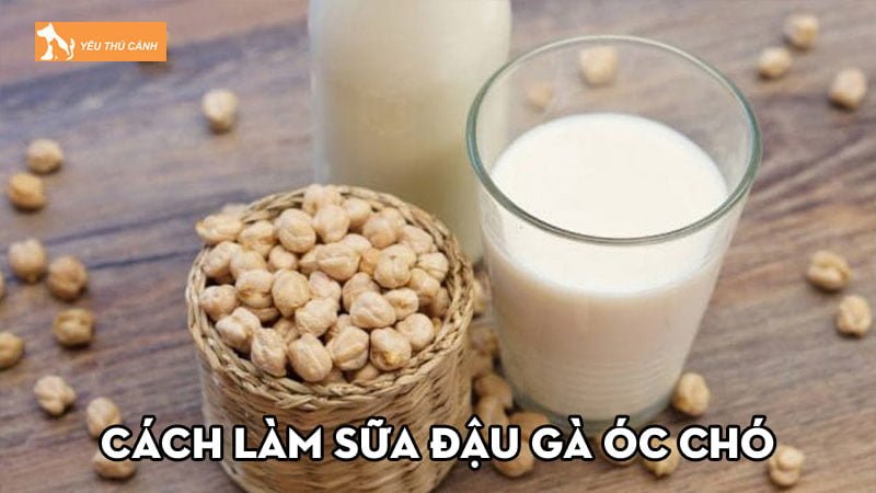 Cách làm sữa đậu gà óc chó thơm ngon, bổ dưỡng ai cũng mê