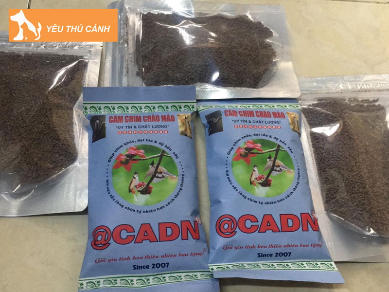 cam-cadn-3in1-thucanh