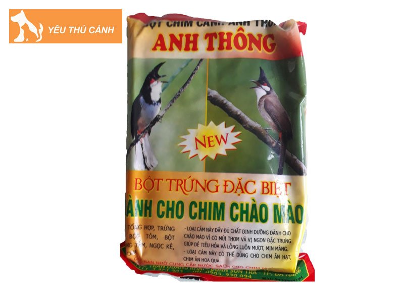 cam-chao-mao-anh-thong-thucanh