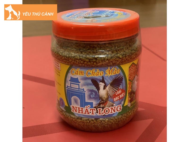cam-chao-mao-nhat-long-thucanh