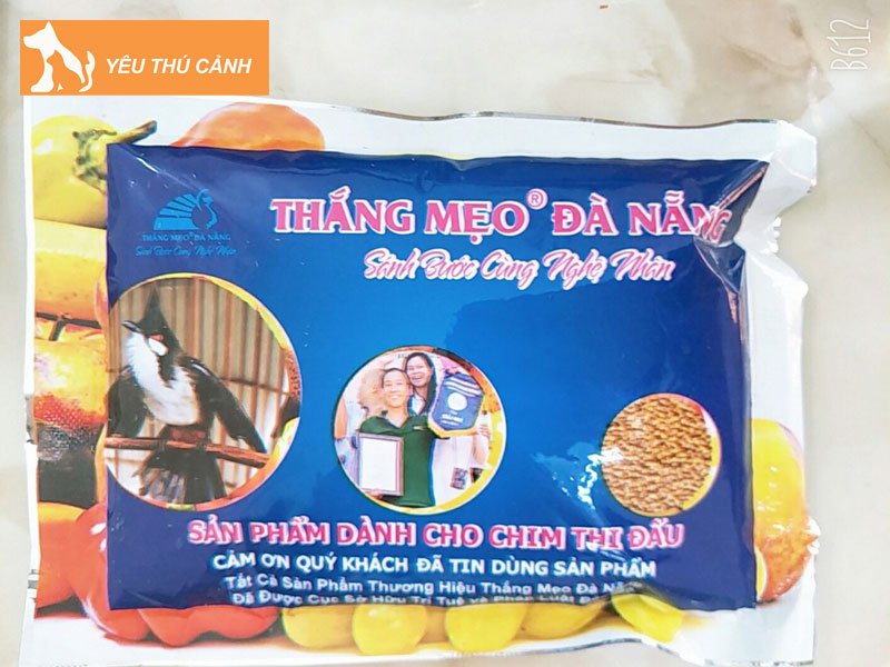 cam-chao-mao-thang-meo-da-nang-thucanh