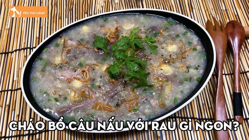 Cháo bồ câu nấu với rau gì ngon và bổ dưỡng cho bé?