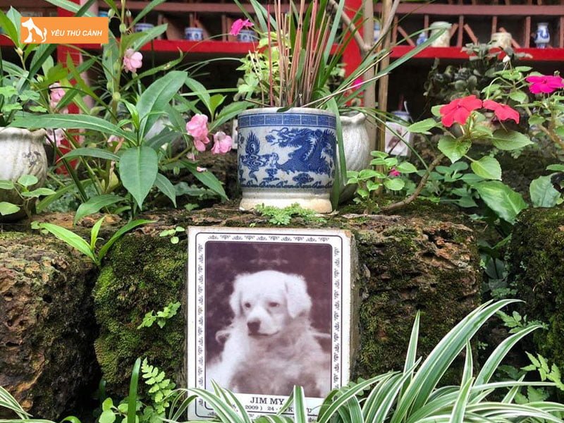 chua-te-dong-vat-nga-thucanh