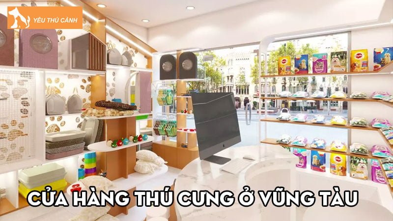 Cửa hàng thú cưng ở Vũng Tàu | 10+ các địa chỉ uy tín, chất lượng