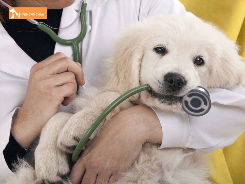 cun-tay-giun-co-duoc-tam-khong-thucanh