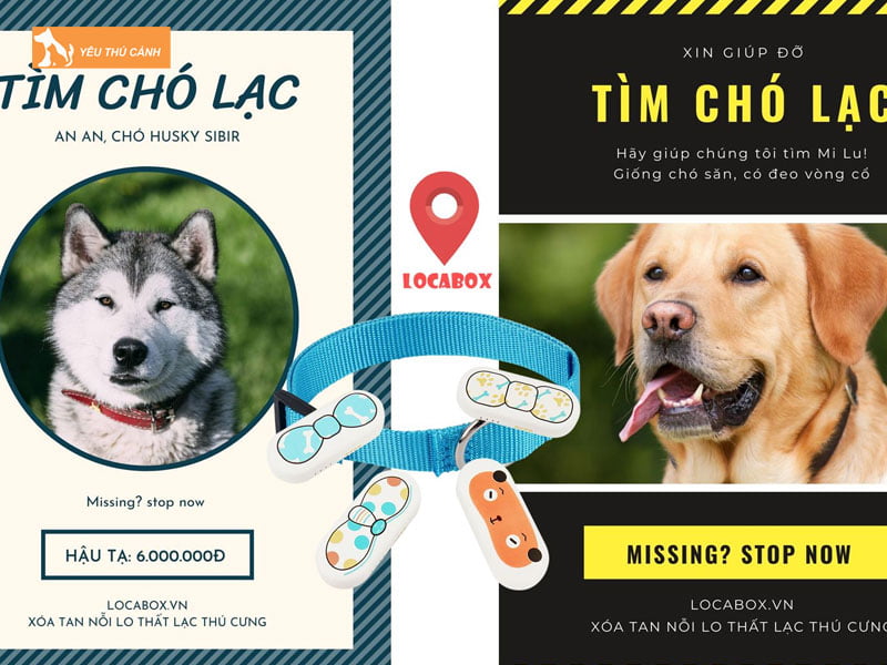 dang-tai-thong-tin-tren-cac-website-mang-xa-hoi-thucanh