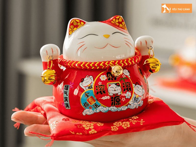 do-tuoi-hop-voi-meo-than-tai-la-gi-thucanh