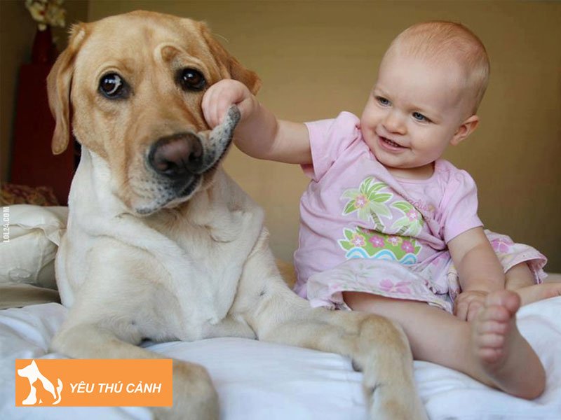 giai-ma-y-nghia-mot-so-giac-mo-thay-chu-cho-quan-quyt-thucanh