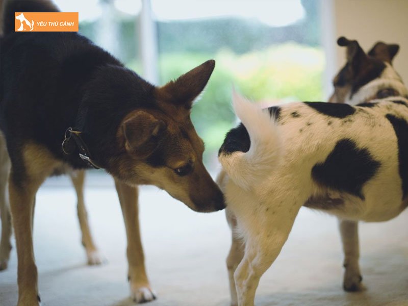 khi-nao-cho-cai-bat-dau-dong-duc-thucanh