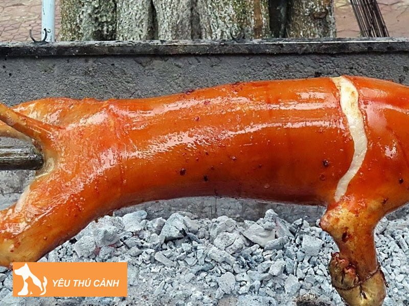 lam-thit-cho-nuong-truyen-thong-thucanh