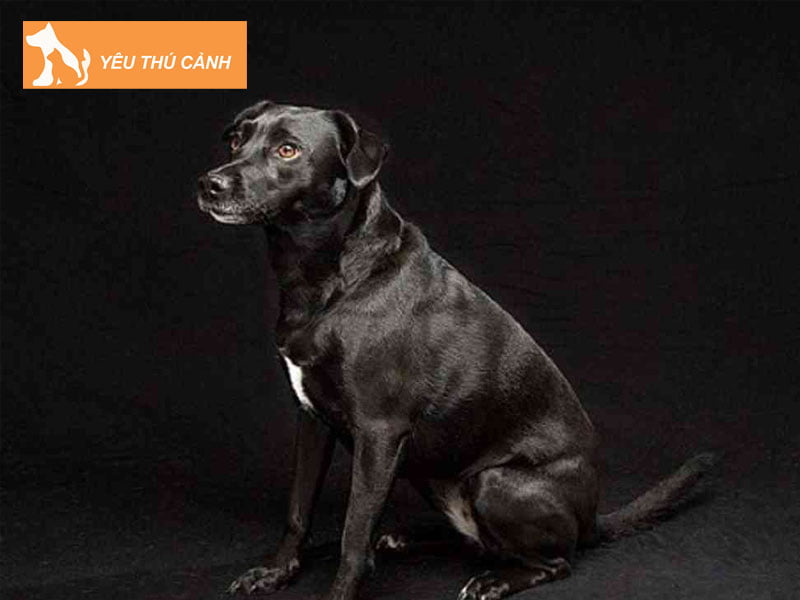 mo-thay-cho-den-vao-nha-la-diem-gi-thucanh