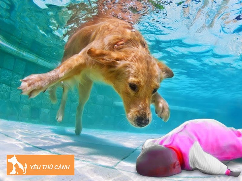 mot-so-giac-mo-cho-khac-thucanh