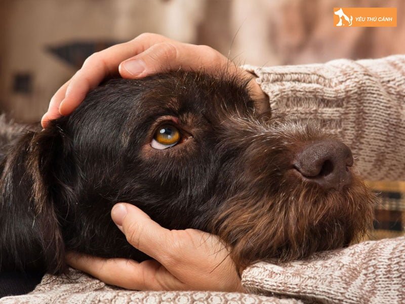 mot-so-luu-y-khac-thucanh