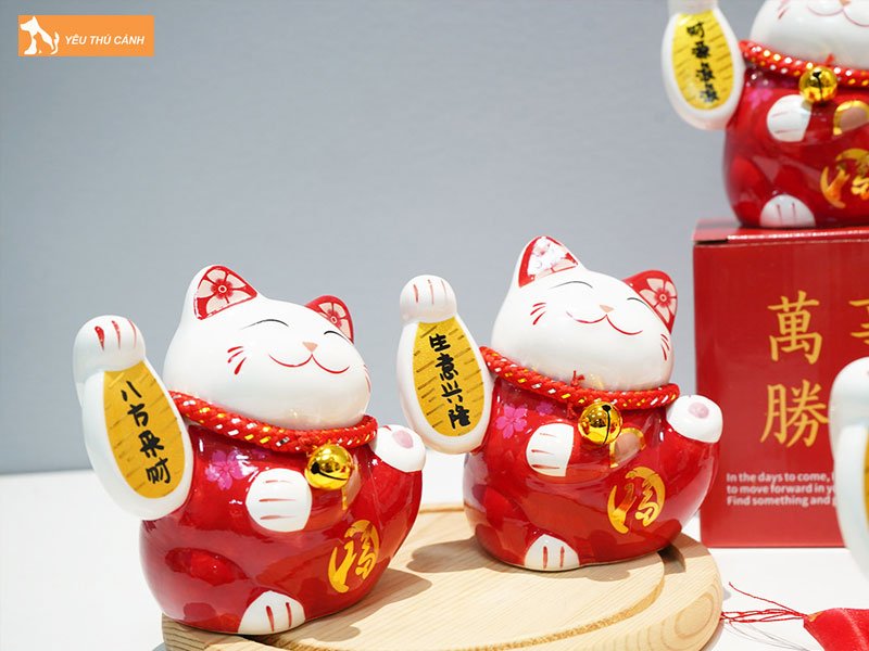 mot-so-luu-y-khi-mua-va-bay-tri-meo-than-tai-la-gi-thucanh