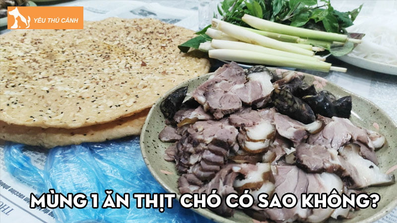 Mùng 1 ăn thịt chó có sao không? Kiêng ăn thịt chó ngày nào?