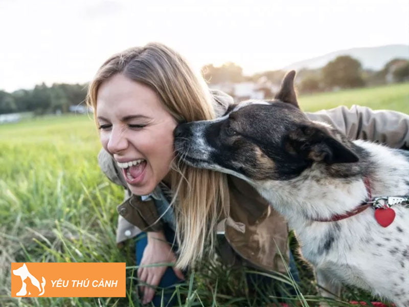 nam-mo-thay-cho-quan-quyt-nen-danh-con-gi-thucanh