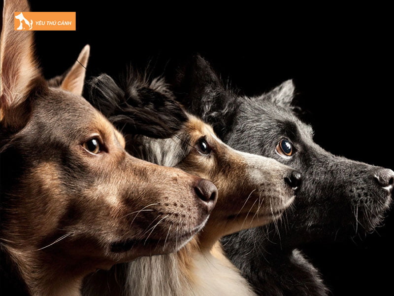 nam-ngu-thay-3-chu-cho-nen-danh-so-may-thucanh