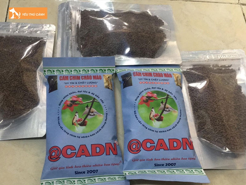 Nguon-goc-cua-cam-cadn-thucanh