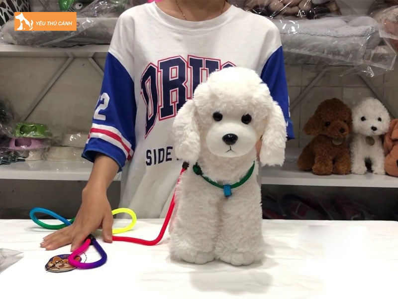 nguyen-lieu-can-co-de-lam-day-yem-dat-cho-thucanh