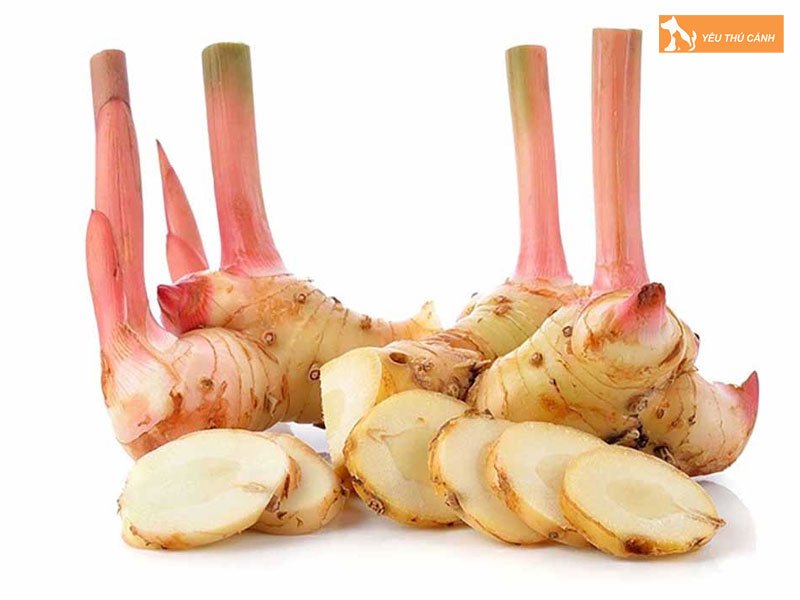 nguyen-lieu-nau-mon-thit-cho-ruou-man-thucanh