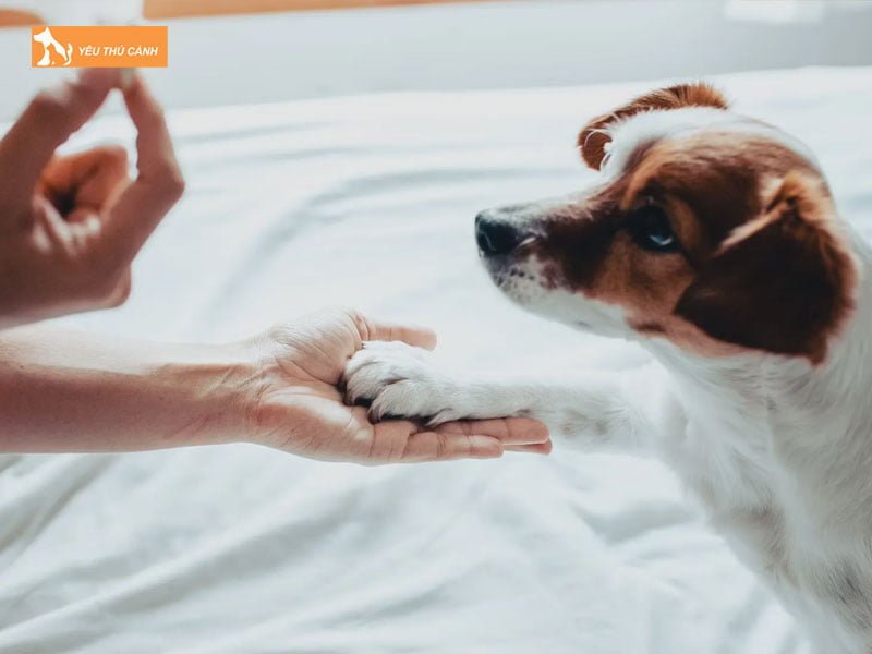 nguyen-nhan-cho-bi-tieu-chay-thucanh