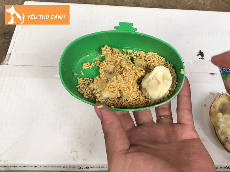 nhung-dieu-can-luu-y-khi-thay-doi-cam-thucanh