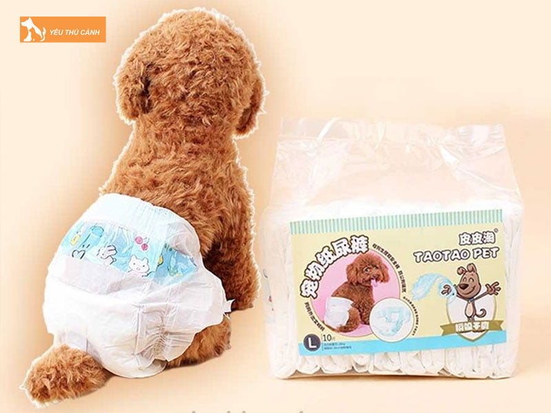 nhung-truong-hop-nen-dung-bang-ve-sinh-cho-cho-thucanh