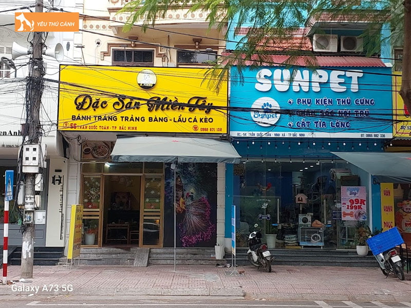 Sunpet-shop-thu-cung-bac-ninh-uy-tin-thucanh