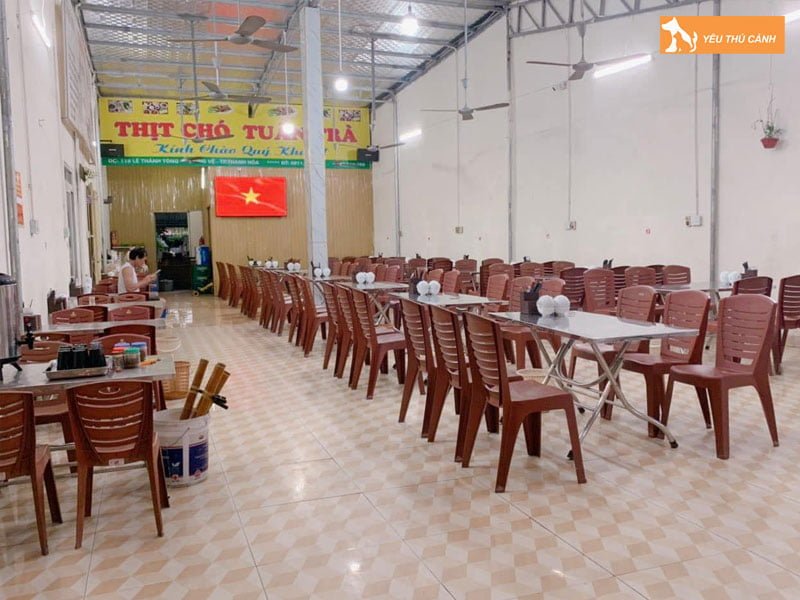 thit-cho-tuan-tra-thucanh