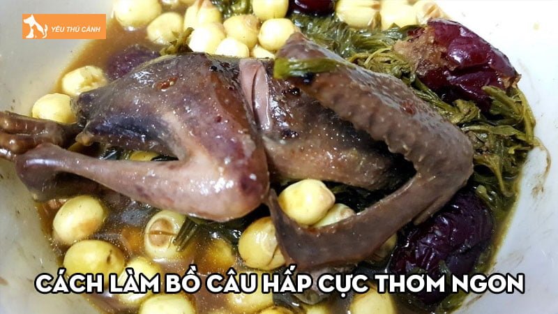 Top 3 cách làm bồ câu hấp cực thơm ngon, bổ dưỡng